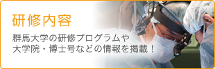 研修内容