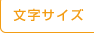 文字サイズ
